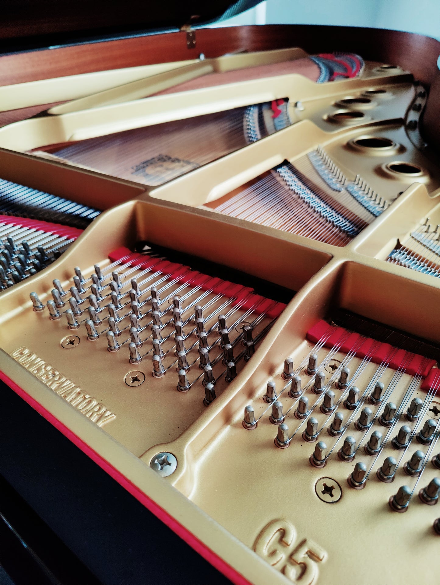 Yamaha C5 Flügel