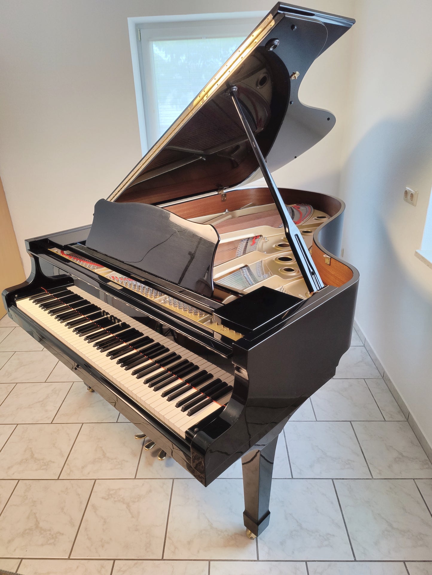 Yamaha C5 Flügel