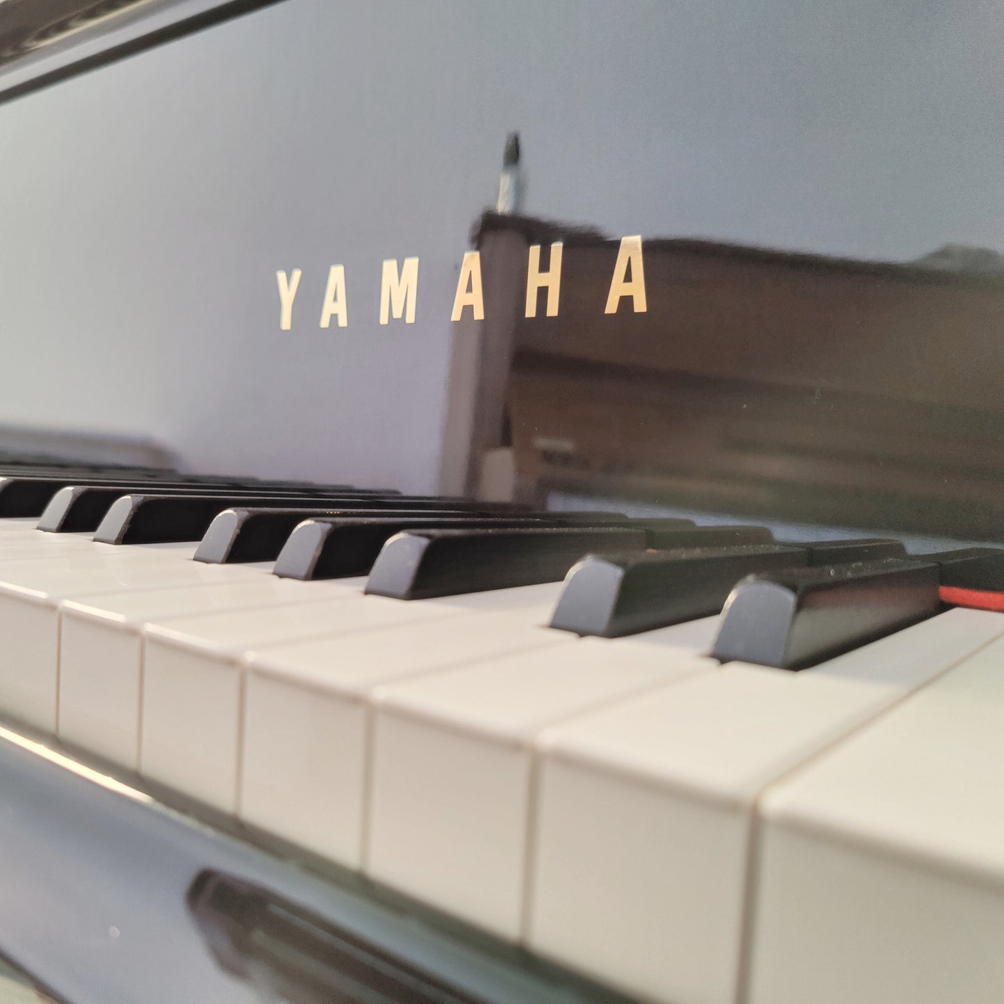 Yamaha C5 Flügel