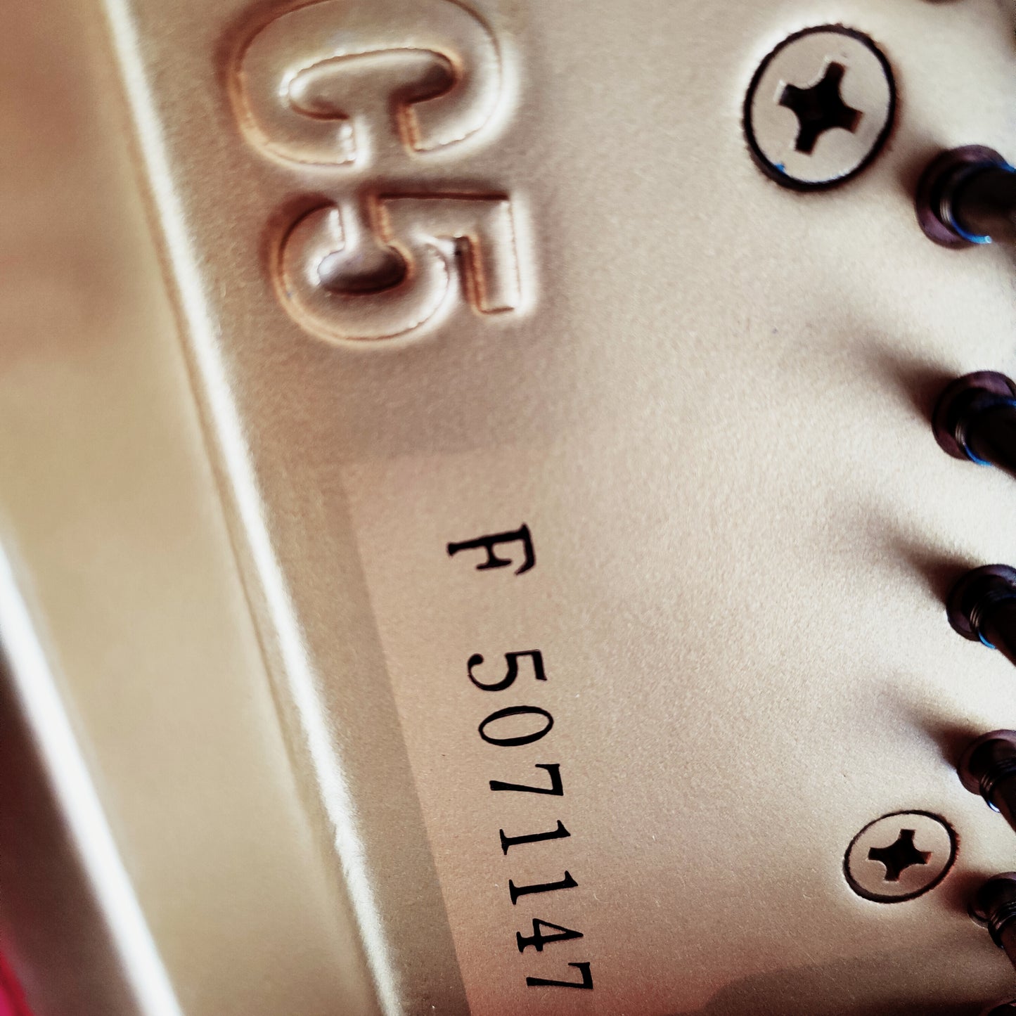 Yamaha C5 Flügel