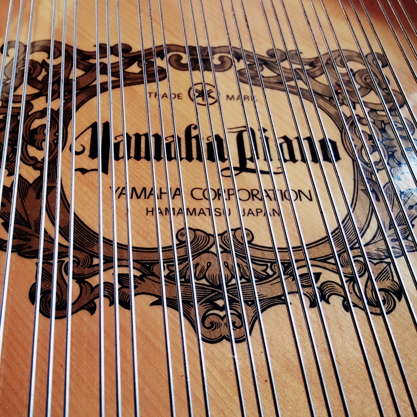Yamaha C5 Flügel