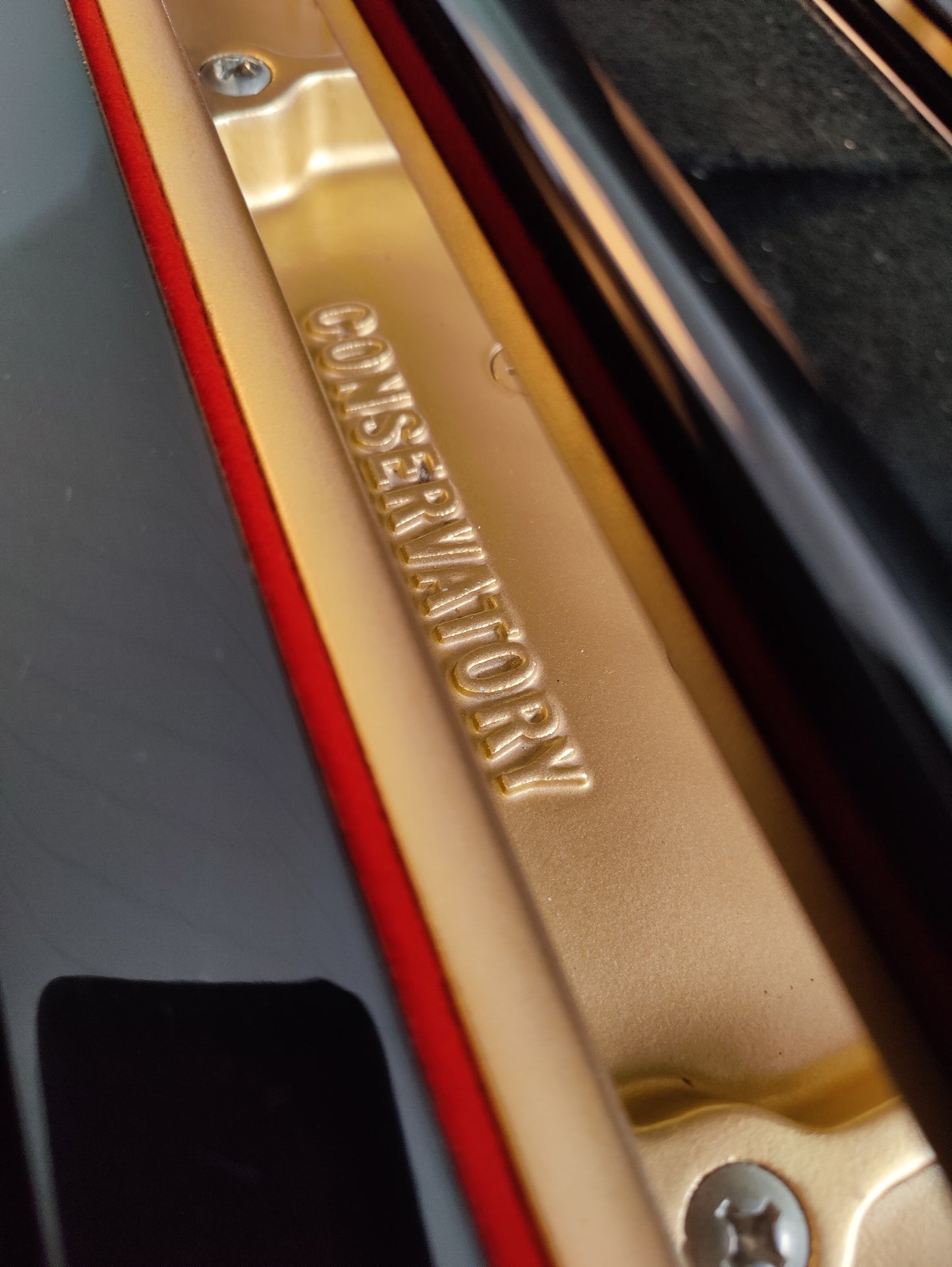Yamaha C5 Flügel
