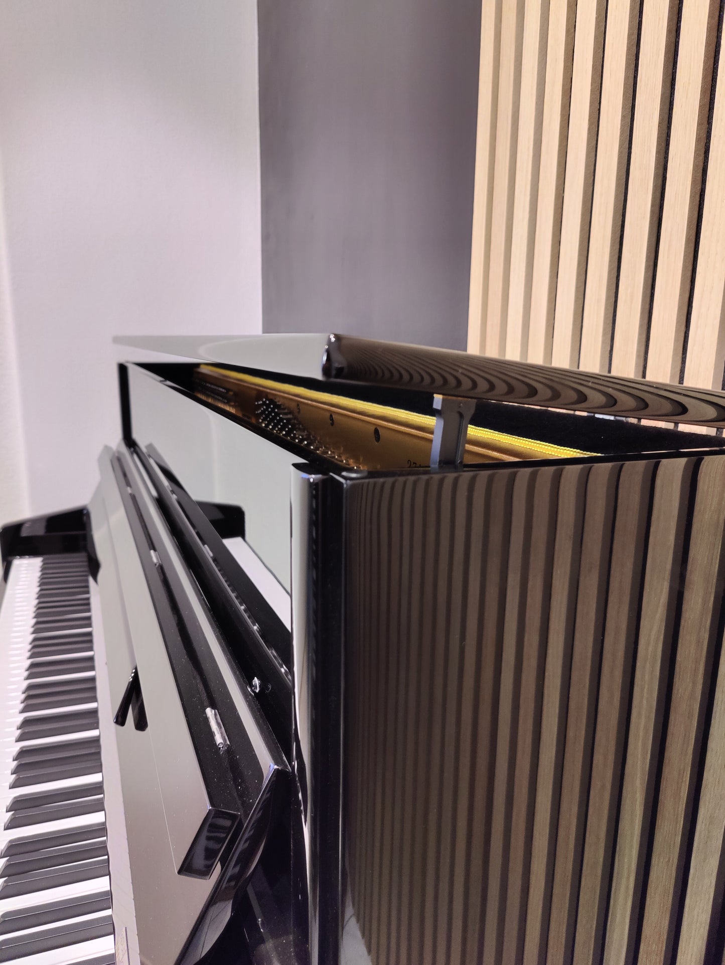 Opus Piano Forte Edition 118 Silber