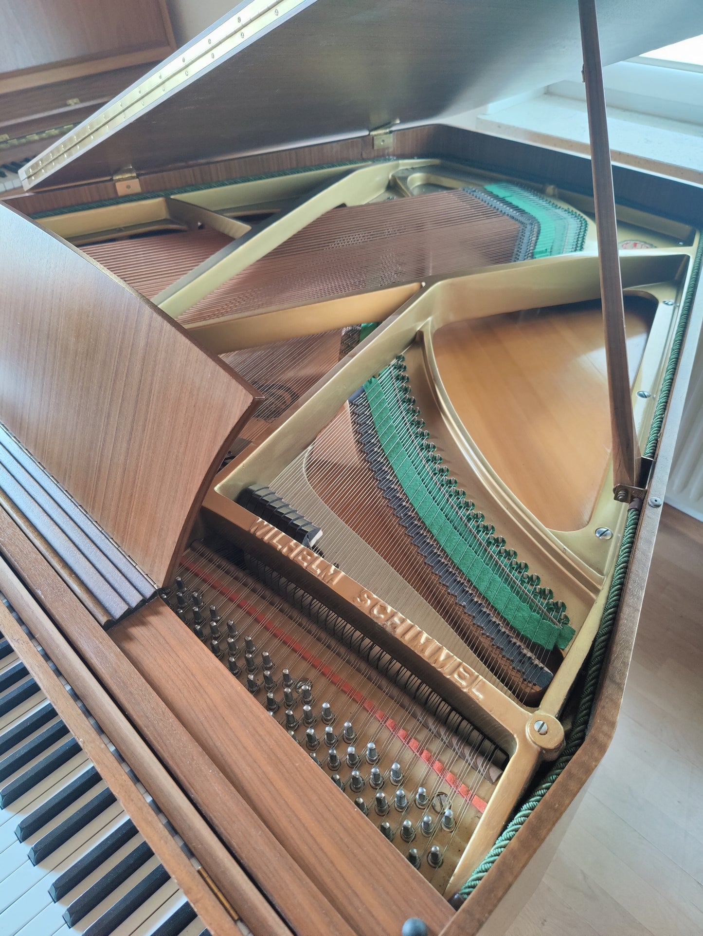Schimmel Flügel