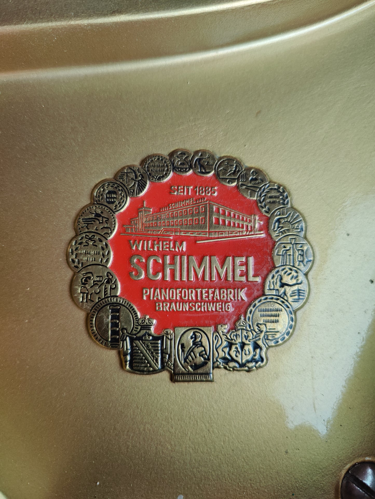 Schimmel Flügel