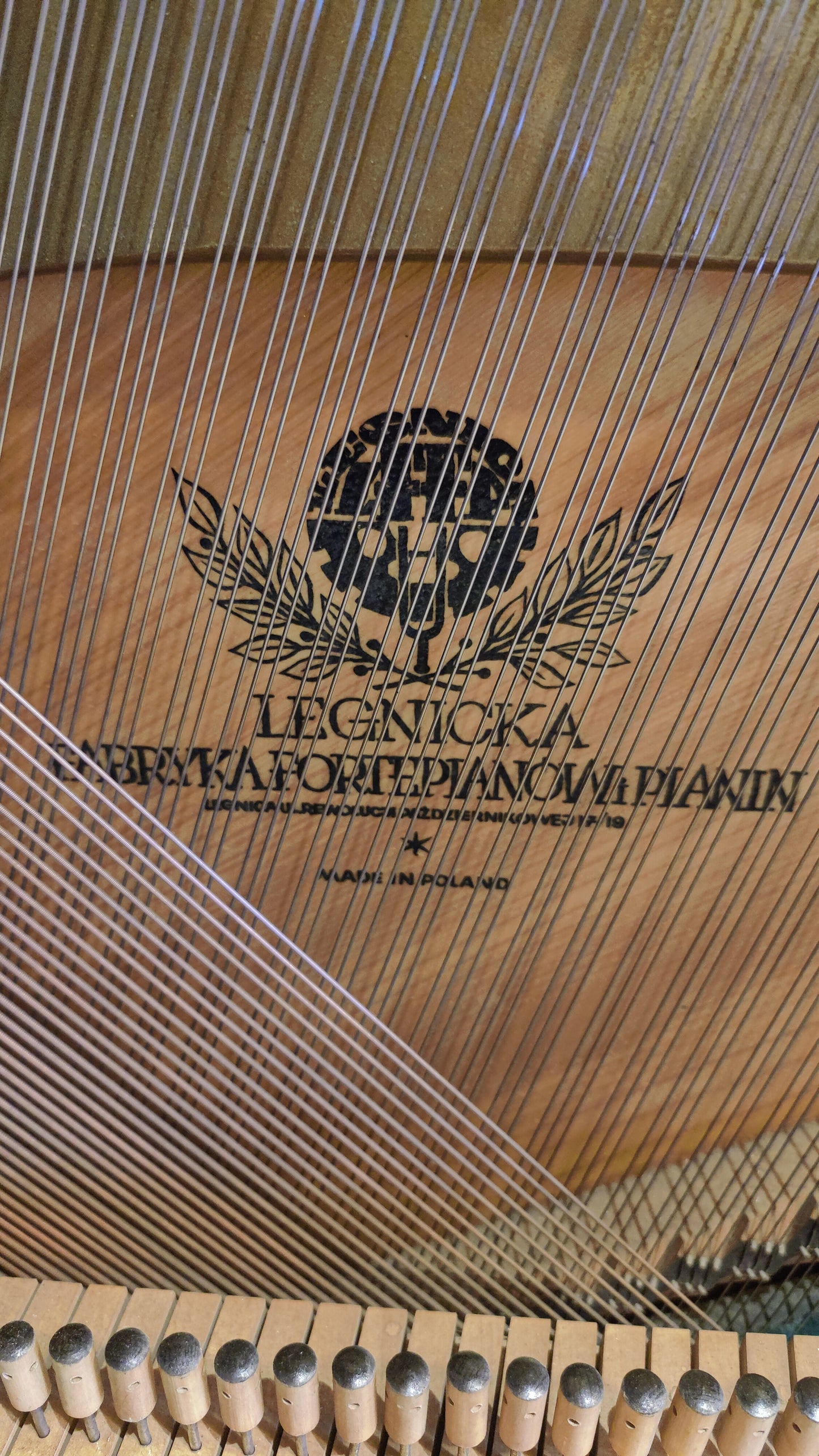 Legnica