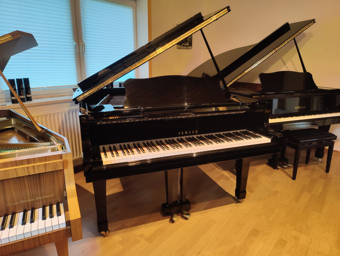 Yamaha G2 Flügel