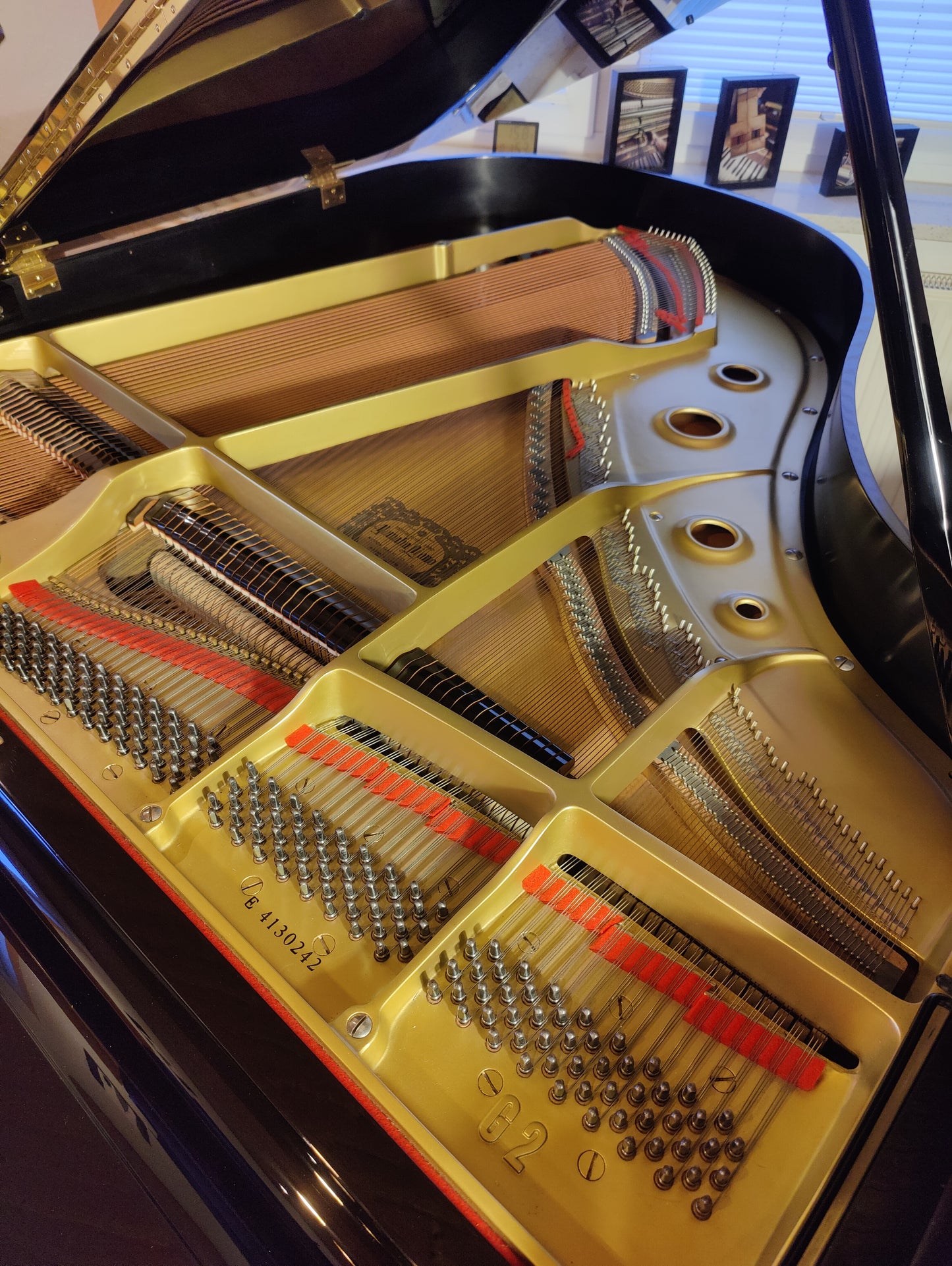 Yamaha G2 Flügel