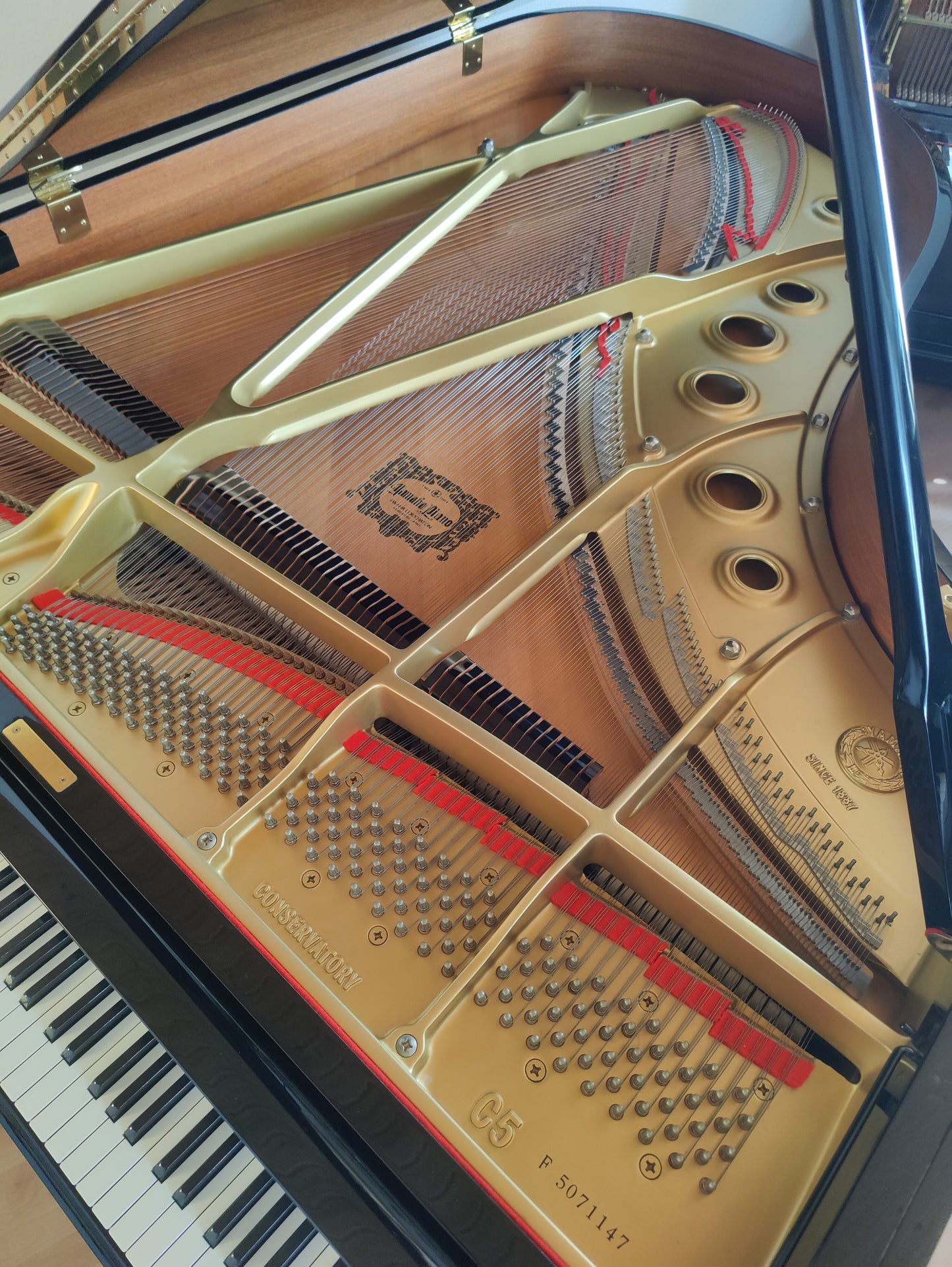 Yamaha C5 Flügel