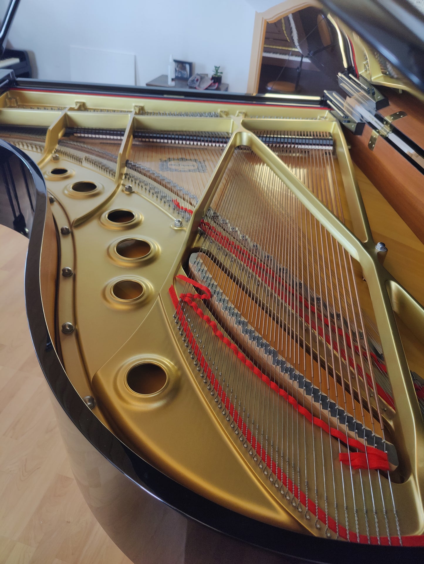 Yamaha C5 Flügel
