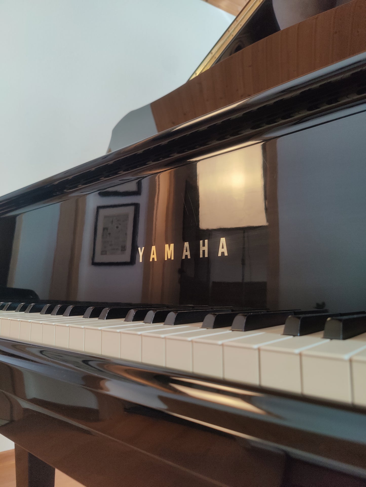 Yamaha C5 Flügel