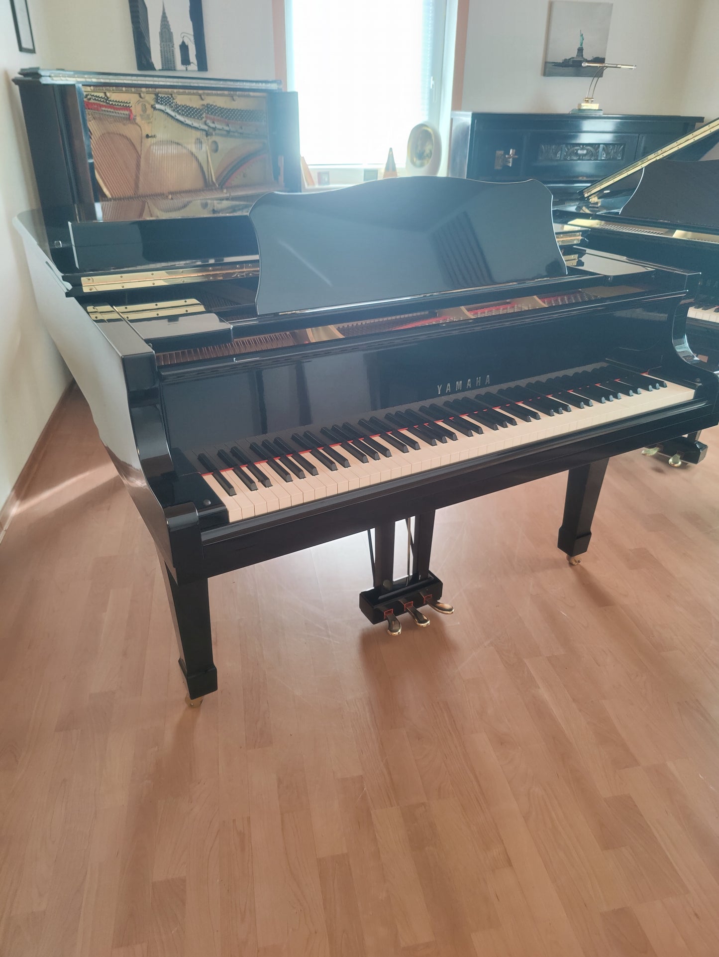 Yamaha C5 Flügel