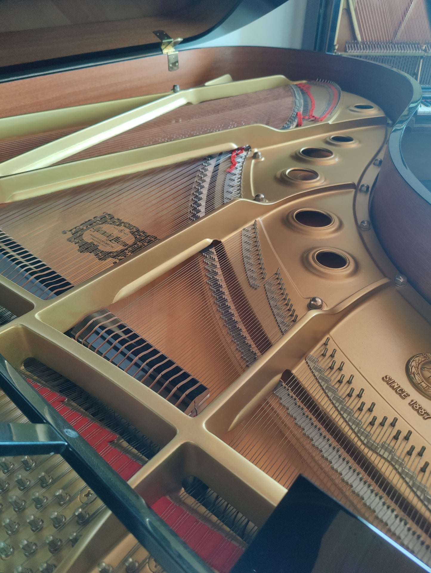 Yamaha C5 Flügel