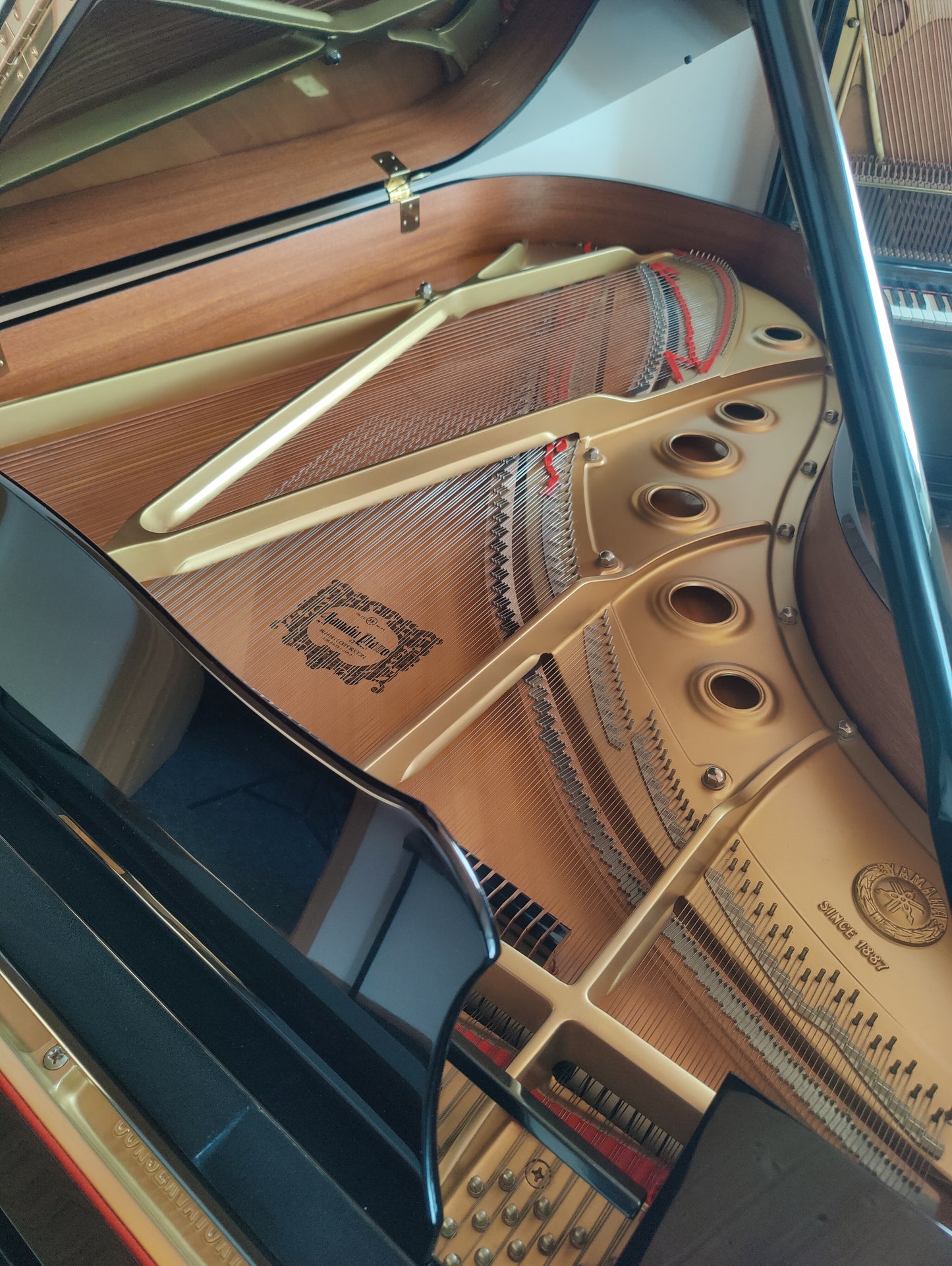 Yamaha C5 Flügel