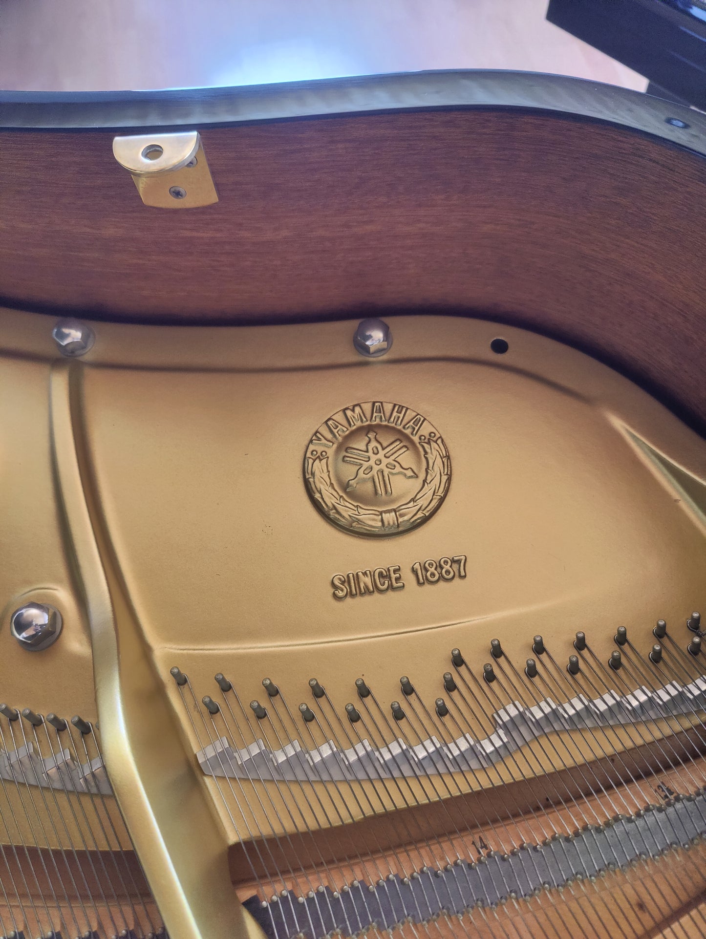 Yamaha C5 Flügel
