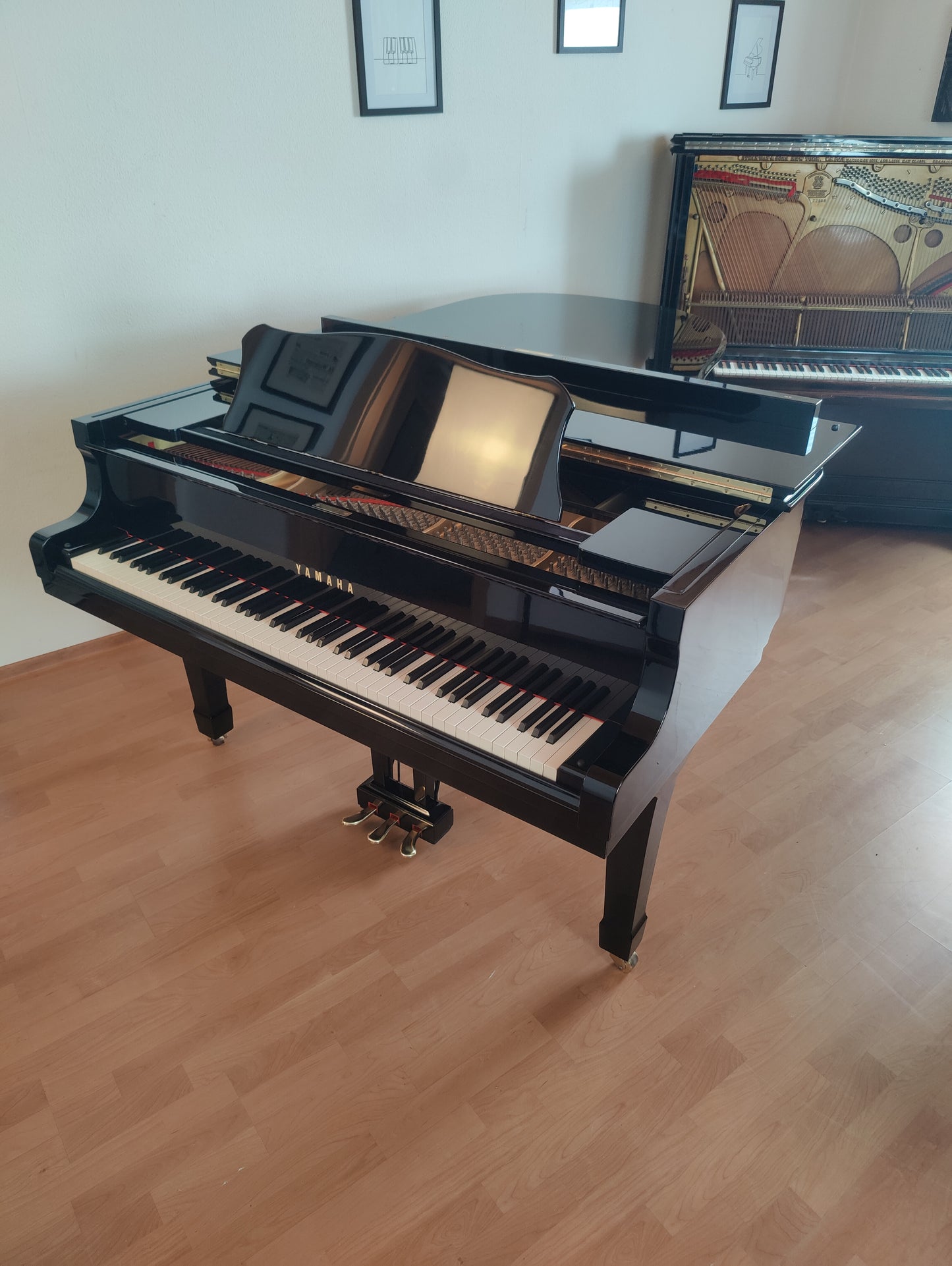 Yamaha C5 Flügel