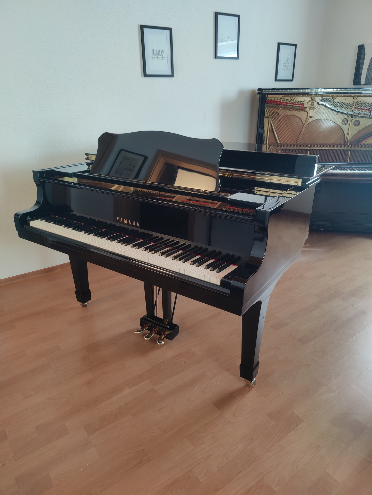 Yamaha C5 Flügel